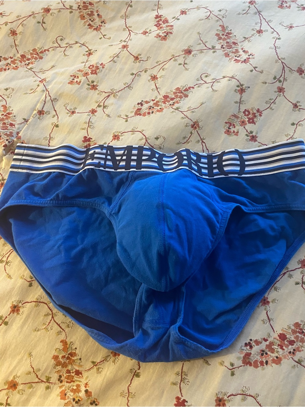 Emporio Armani Royal Blue Briefs with Navy & White Branded Waistband. Size XL